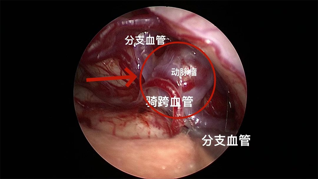 590dd8e7a4e31be3e05a73afb7a9e75_副本.png 590dd8e7a4e31be3e05a73afb7a9e75_副本.png