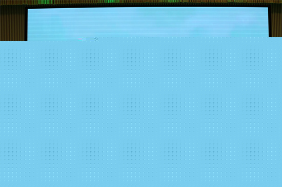 荷韻.jpg